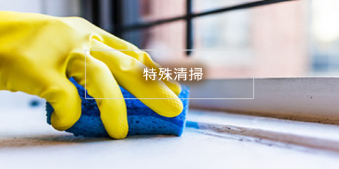 特殊清掃
